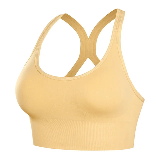 Mesh Sports Bra
